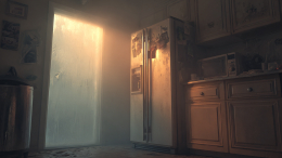 Женщина задушила свою дочь и 20 лет хранила ее тело в холодильнике