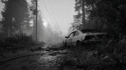 Студент борется за опеку над братьями и сестрой после гибели родителей в ДТП