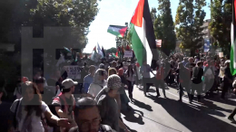 В Италии за 2 дня протестов в поддержку Палестины пострадали более 50 силовиков