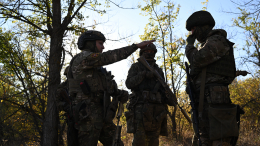 ВС РФ освободили населенный пункт Кузьминовка в ДНР