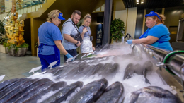 В Москве участники осеннего гастрофестиваля отправляют помощь бойцам СВО