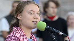 Тунберг и еще 70 активистов «Флотилии стойкости» депортируют из Израиля в Грецию