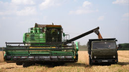 Патрушев: В 2025 году урожайность зерновых культур выросла на 10%