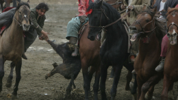 «Забили козла»: в Подмосковье иностранцы устроили массовую игру на лошадях