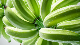 В России строят первую теплицу для выращивания бананов