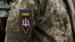 На Украине сотрудник ТЦК «мобилизовал» кота