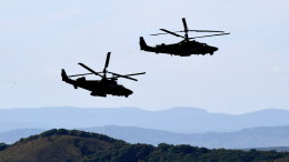 «Аллигатор» разнес броню ВСУ. Лучшее видео из зоны СВО