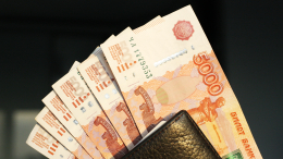 В Госдуме предложили закрепить ежегодную индексацию зарплат