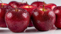 Осенняя выпечка: какие яблоки выбрать для идеальной шарлотки