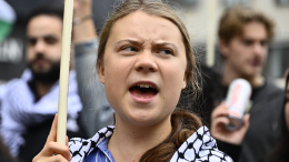 «Была бы рада получить рекомендации»: Тунберг унизила Трампа в ответ на его выпад