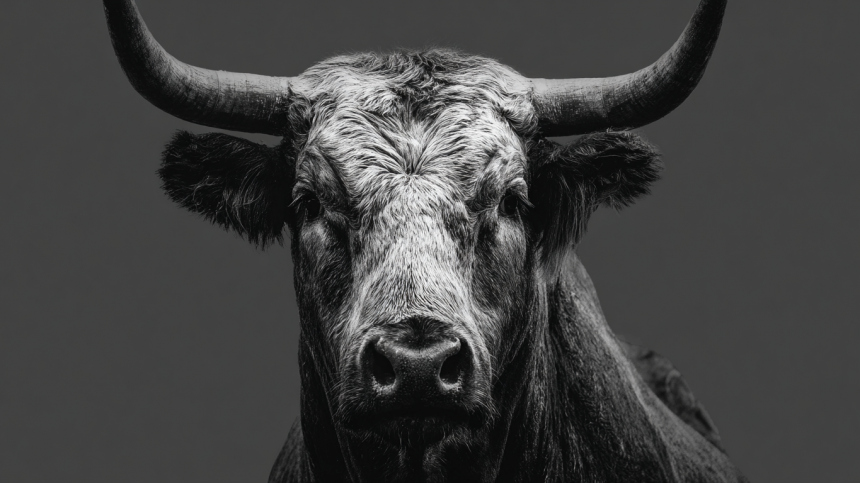 Преподаватель втянул студентов в обряд жертвоприношения быка в Магадане