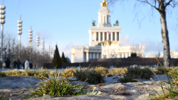 Синоптик рассказала, какой зимы ждать жителям Москвы