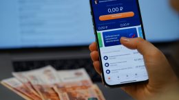 В Совфеде предложили досрочно завершить эксперимент для самозанятых в 2026 году