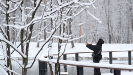 Россиян предупредили об аномально холодной зиме