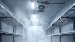 Финский пенсионер 30 лет хранил тела родителей в морозильнике