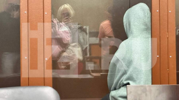 Чиновницу из Петербурга Никитину арестовали на два месяца