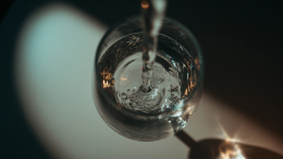 «Я понимаю вкус воды»: блогер Дина Саева открыла в себе новый талант