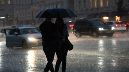 Надо утепляться: какая погода ожидает Москву 12 октября