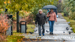 Снег и заморозки? Москвичам рассказали о погоде 13 октября