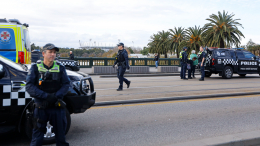 Пришлось усыпить: незнакомец напал на двух собак в парке