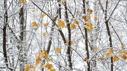 Поселок в Хабаровском крае остался без отопления накануне морозов