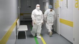 Недетская болезнь: в нескольких регионах РФ наблюдаются вспышки ветрянки