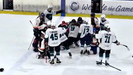 Конфликт перерос в хаос: в Латвии хоккеисты устроили массовую драку из-за русского языка