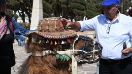 Осторожно, рис, верблюды и такси: самые распространенные схемы обмана туристов