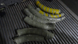 Иностранец попытался вывезти более 100 кг бивней мамонта из РФ в КНР