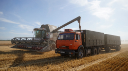 Глава Минсельхоза РФ озвучила объемы собранного зернового урожая за 2025 год