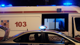 Два человека погибли при опрокидывании автобуса в Амурской области