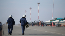 Песков указал на некомпетентность Рютте в оценке российских летчиков и моряков