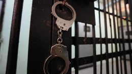 Исполнявшая песни иноагентов певица Логинова помещена под арест на 13 суток