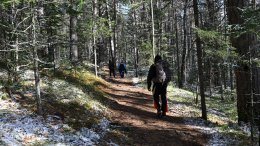 При поиске Усольцевых был слышен странный лай собаки