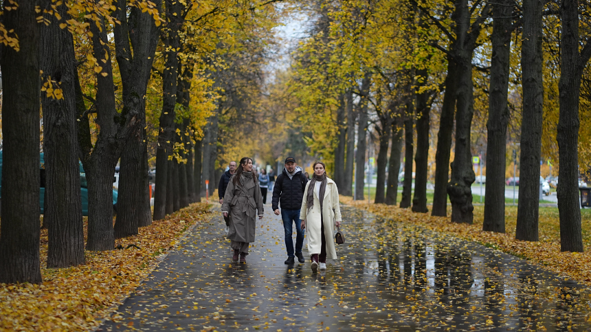 Какая погода будет в России в ближайшие 10 дней