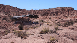В Аргентине нашли останки одного из древнейших динозавров в мире