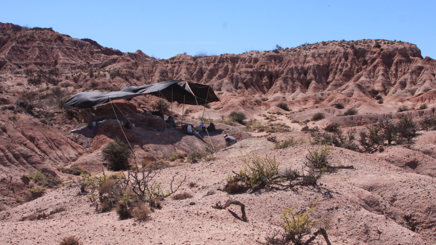 Где нашли останки одного из древнейших динозавров в мире
