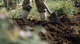 Вот так улов! В Швеции рыбак нашел клад серебряных монет XII века