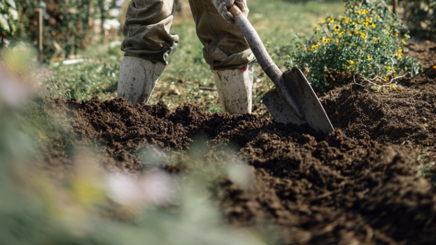 Швед-рыбак вместо наживки нашел клад серебряных монет