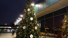 В Москве начали ставить новогодние елки за 72 дня Нового года
