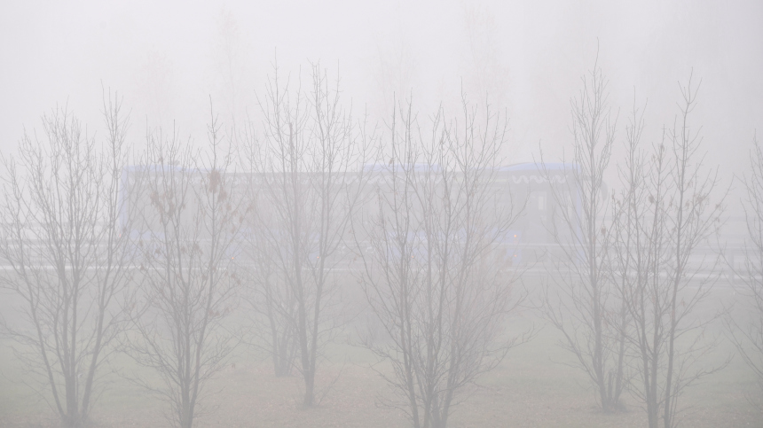 Какая погода в Подмосковье