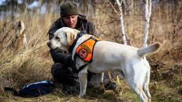 В СК России озвучили основную версию пропажи Усольцевых в Красноярском крае