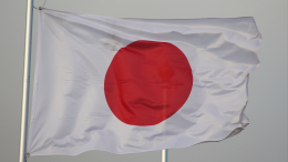 Правительство Японии в полном составе ушло в отставку