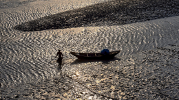 В Индии рыбак погиб после нападения гигантского саргана