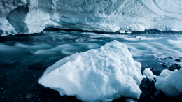 Апокалипсис? Чем опасны «воскрешенные» древние бактерии из вечной мерзлоты