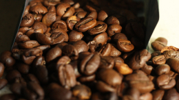 Мир останется без кофе? Производство зерна оказалось под угрозой