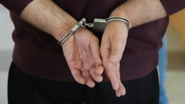 В Московской области задержан домогавшийся девочки водитель автобуса