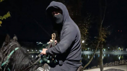 Неизвестные на лошадях избили пенсионеров плетью в Кисловодске