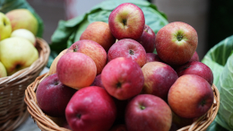 Дотянут до весны: как правильно собирать и хранить поздние яблоки