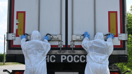 Россия и Украина провели обмен телами погибших в формате «1000 на 31»